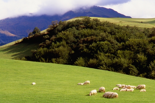  Basque Country 